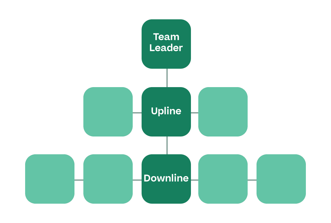 Flow chart showing a “Team Leader” square at the top, a few connected squares underneath showing that say “Upline,” and several other connected squares underneath that say “Downline"