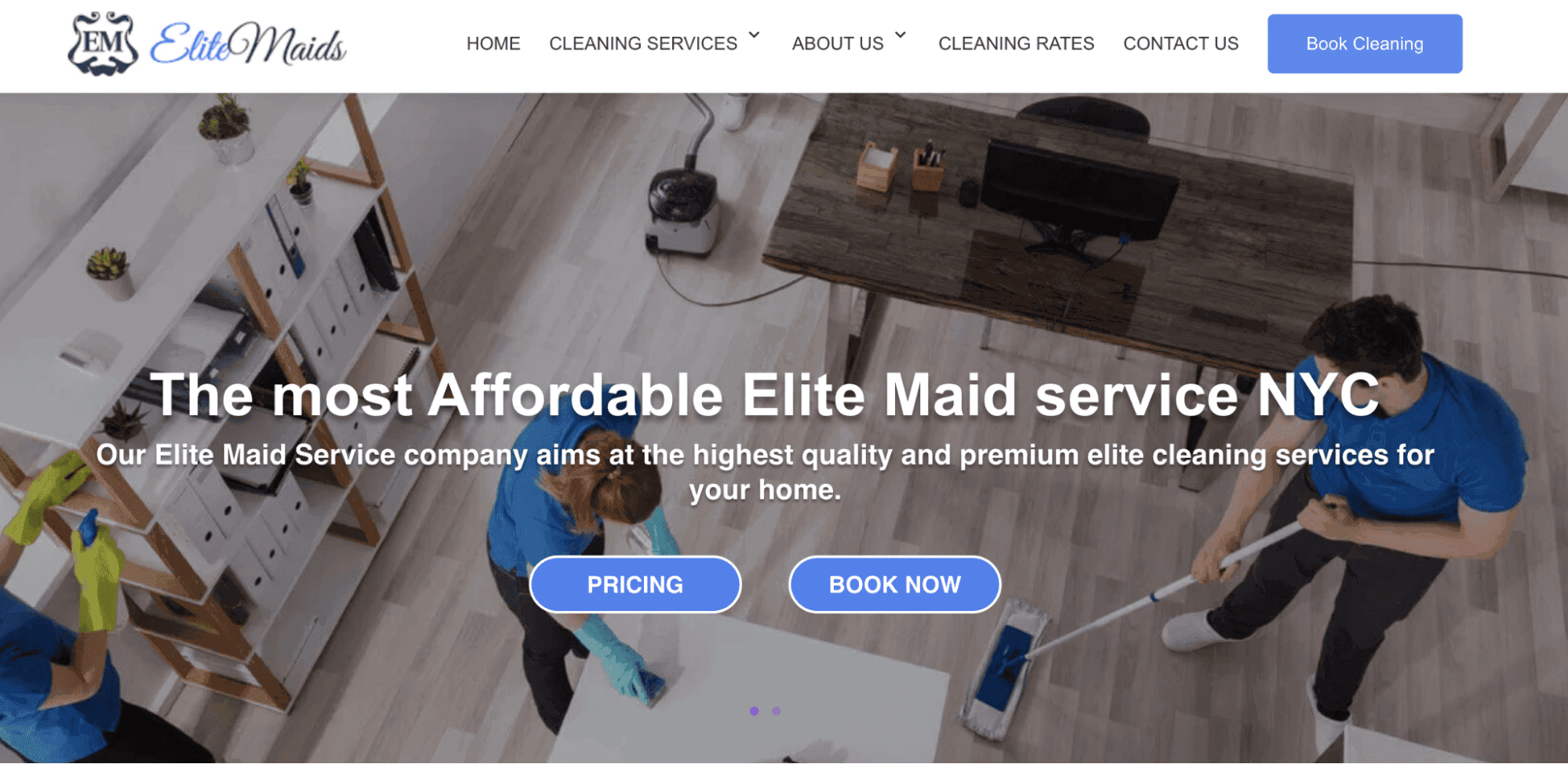 Screenshot showing Elite Maid home page