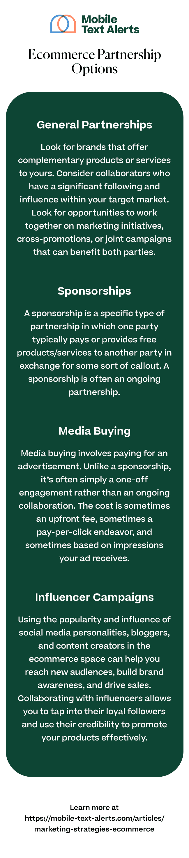 Ecommerce partnership options infographic