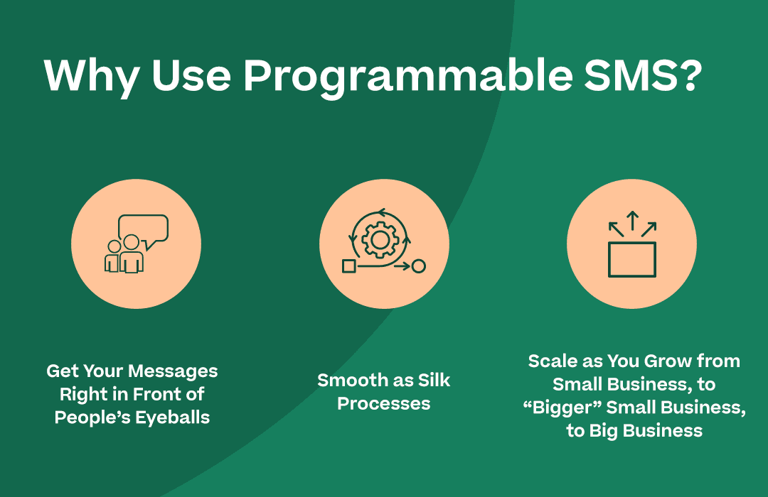 “Why Use Programmable SMS?” with the headers above as bullet points with corresponding icons