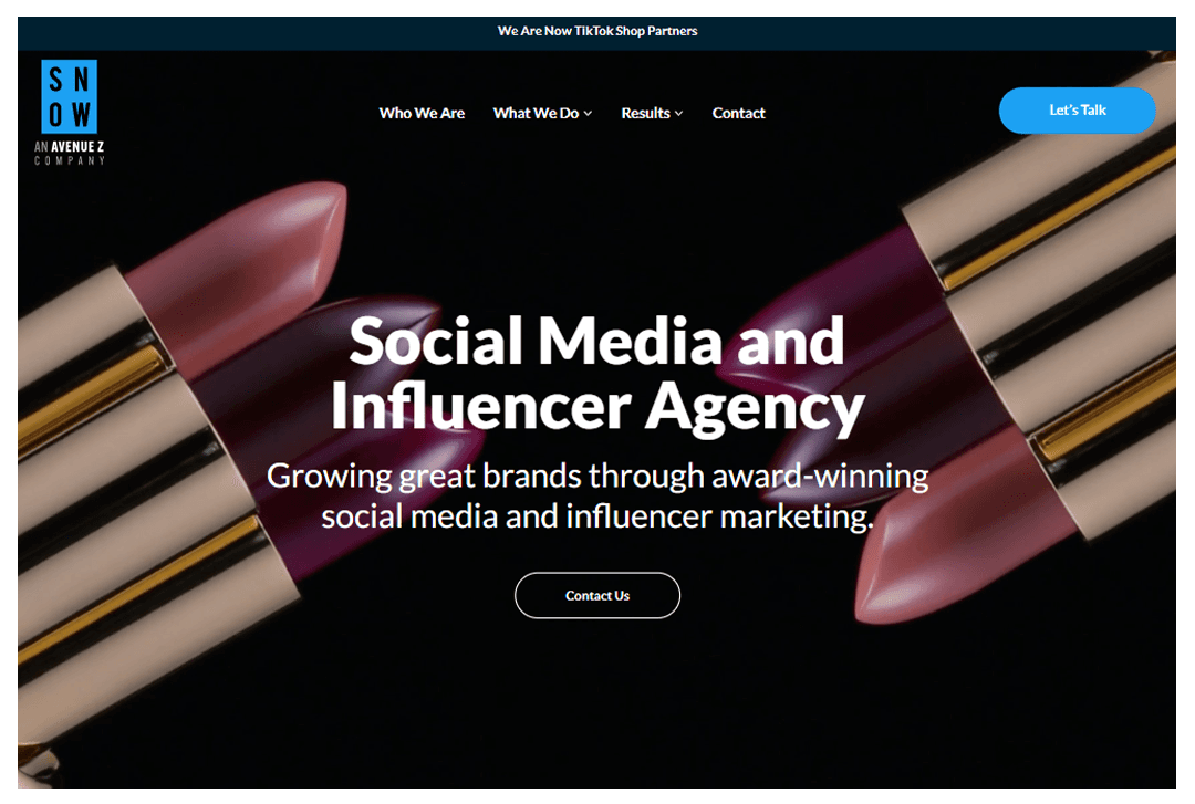 Snow Agency website home page