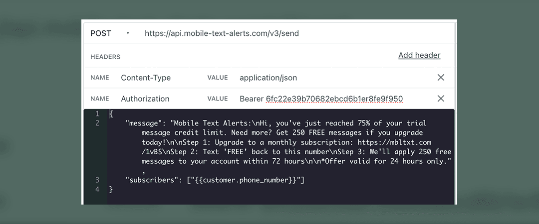 Screenshot of api webhook example