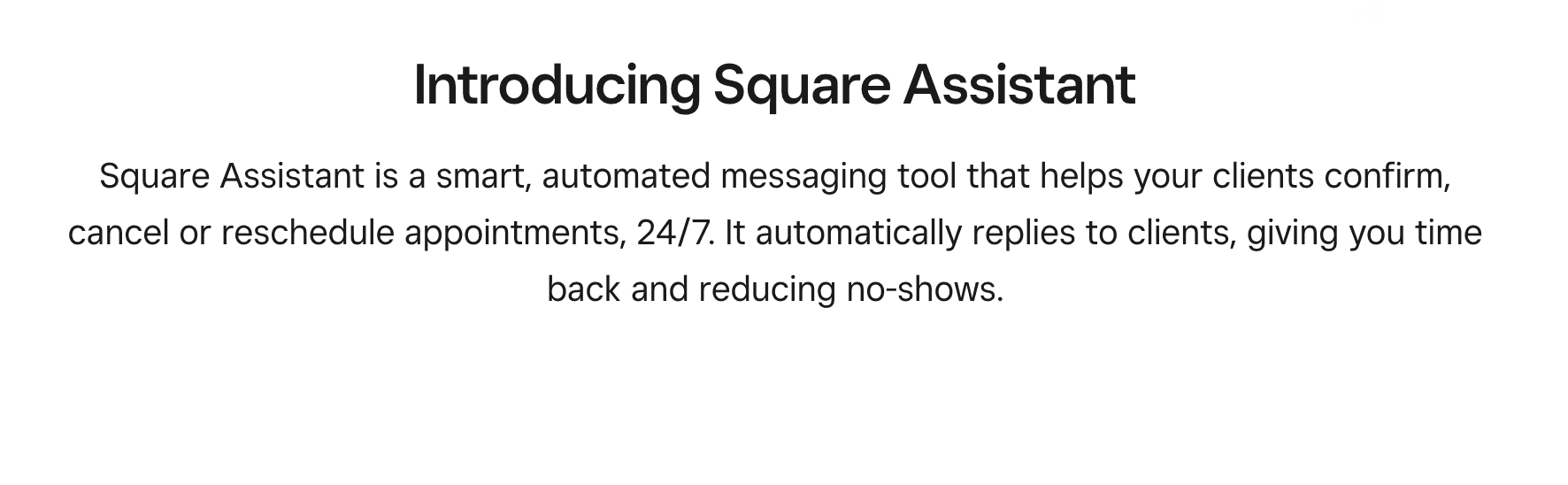 Screenshot of Square Assistant landing page