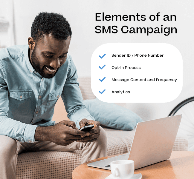 Elements of an sms campaign infographic