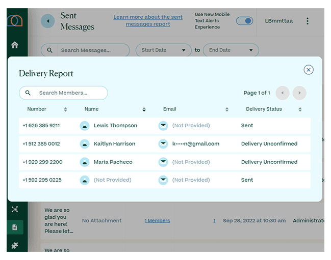 Screenshot of delivery report